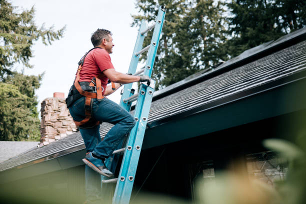 Best Roof Moss and Algae Removal  in Montauk, NY